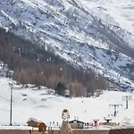 Bristolino 萨斯费