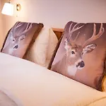 Bristolino 萨斯费