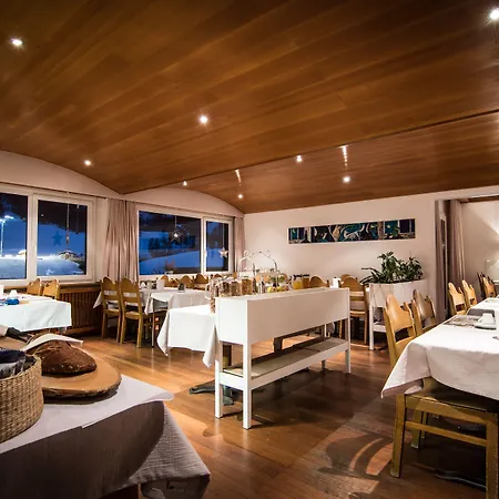 Bristolino * Зас-Фе