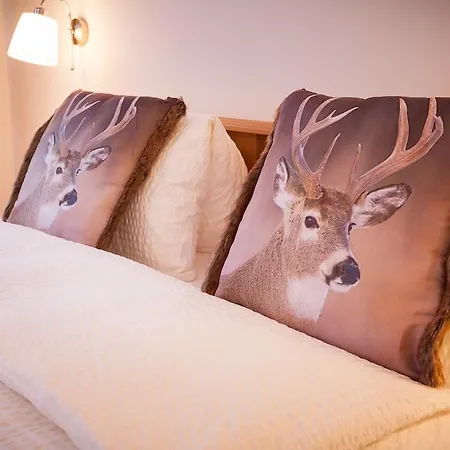 Bristolino Зас-Фе