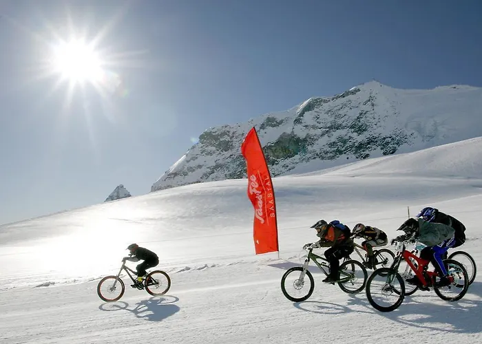 Apartment Bristolino Saas-Fee