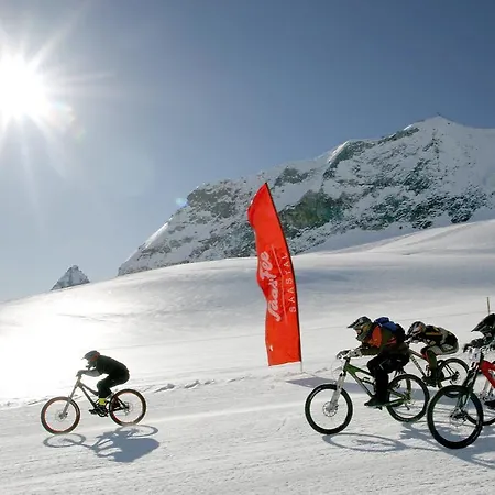 Lejlighed Bristolino Saas Fee